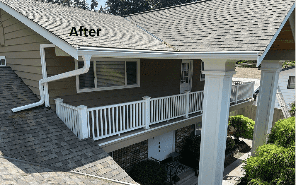 Seattle Home Gets a NO Maintenance Gutter System